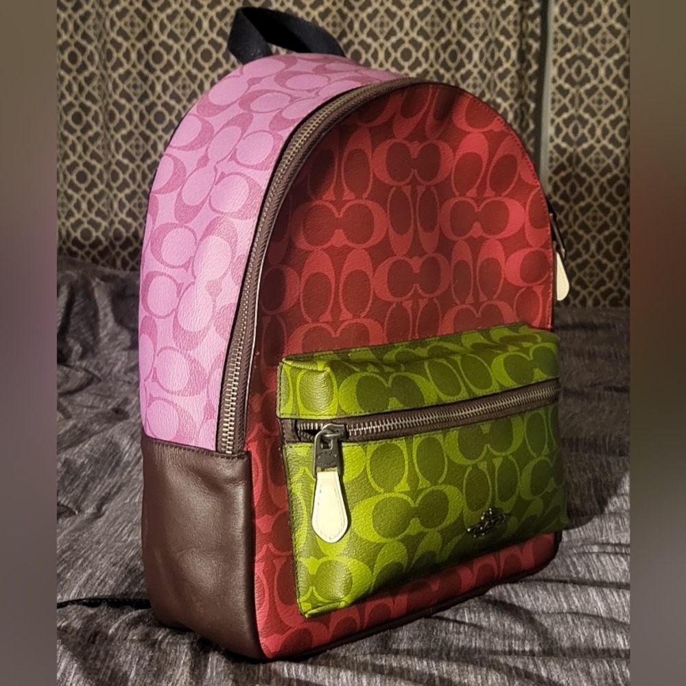 Medium Charlie Backpack In Blocked Signature Canvas